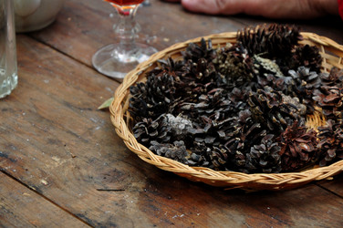 Similar image 21502544