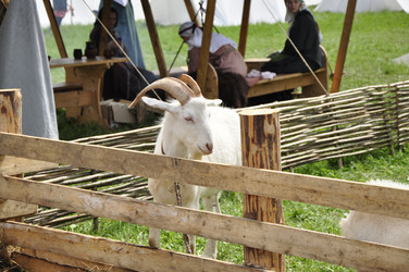 Similar image 21502996