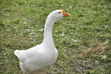 Similar image 21502999