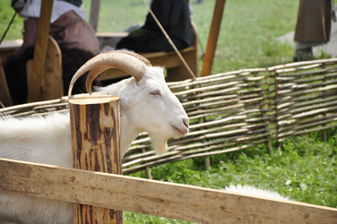 Similar image 21503001