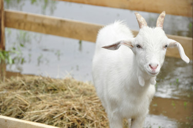 Similar image 21503381