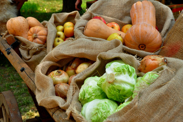 Similar image 21503762