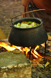 Similar image 21503769