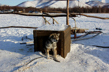 Similar image 21489215