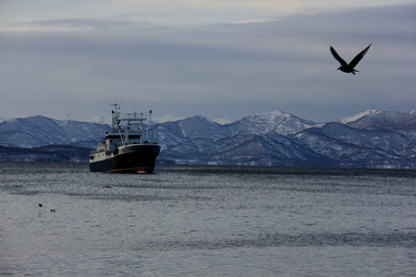 Similar image 21489229