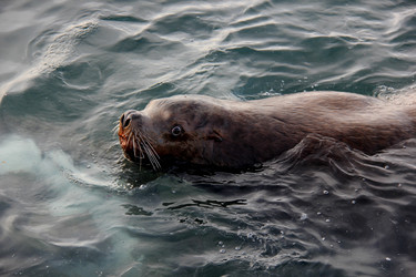 Similar image 21489231