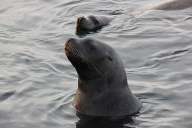 Similar image 21489232