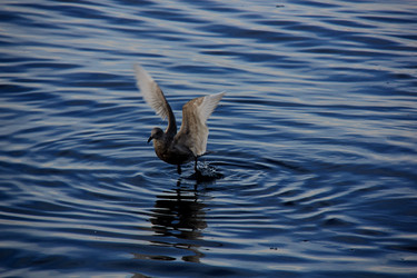 Similar image 21489558