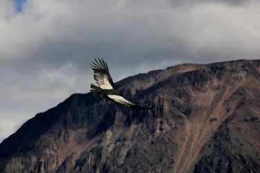 Similar image 21503397