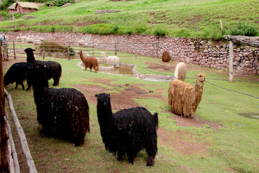 Similar image 21503399