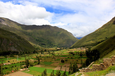 Similar image 21503778