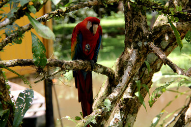 Similar image 21504043