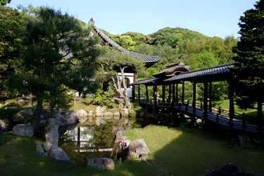 Similar image 21503409