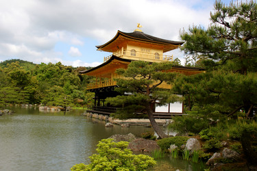 Similar image 21503412