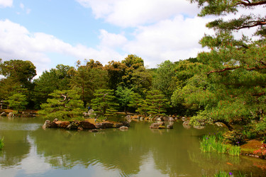 Similar image 21503413