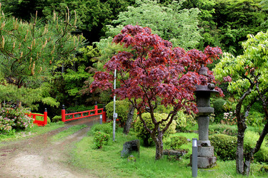 Similar image 21503414