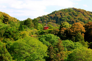 Similar image 21503416