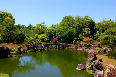 Similar image 21503418