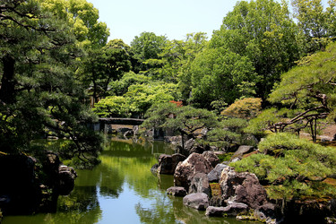 Similar image 21503421