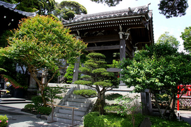 Similar image 21503780