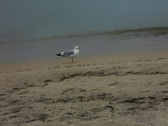 Similar image 21503786