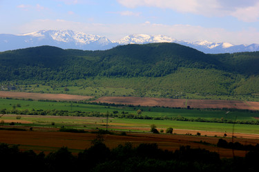 Similar image 21503936