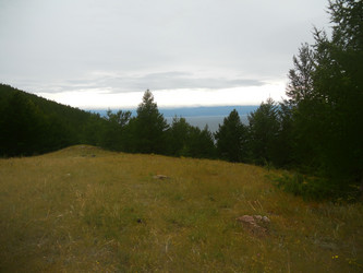 Similar image 21503937