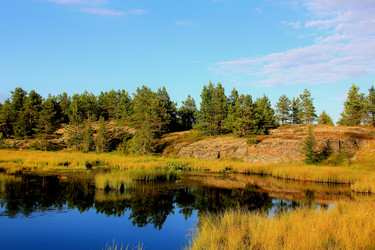 Similar image 21504053