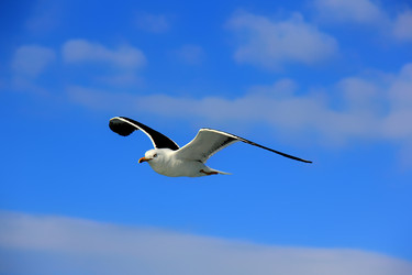 Similar image 21504056