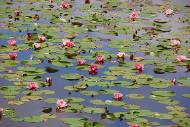 Similar image 21489853