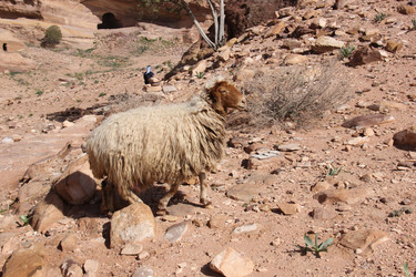 Similar image 21489855