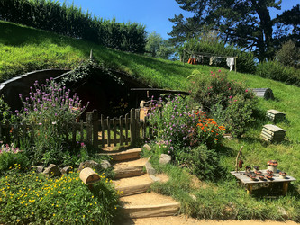 Similar image 21491584