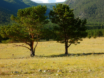 Similar image 21503791