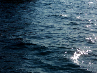 Similar image 21503939