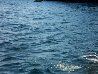 Similar image 21503940