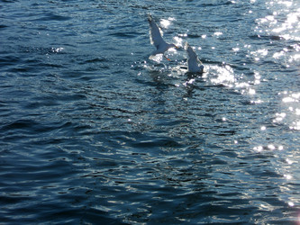 Similar image 21503941