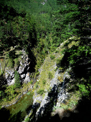 Similar image 21504059