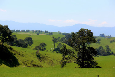 Similar image 21504064