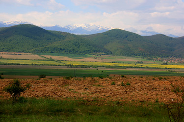 Similar image 21504229