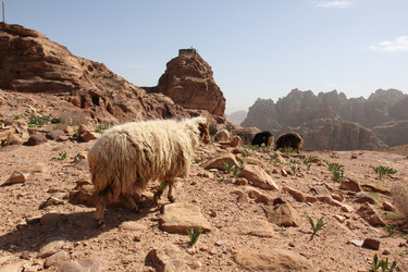 Similar image 21503944