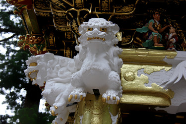 Similar image 21504067