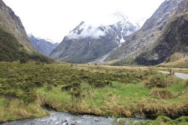 Similar image 21504070