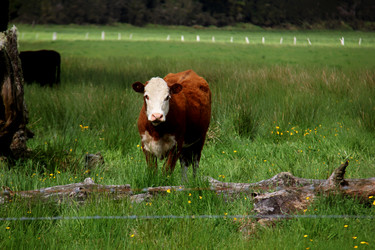 Similar image 21489563