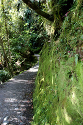 Similar image 21489860