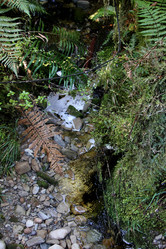 Similar image 21489861