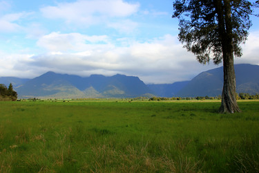 Similar image 21489863