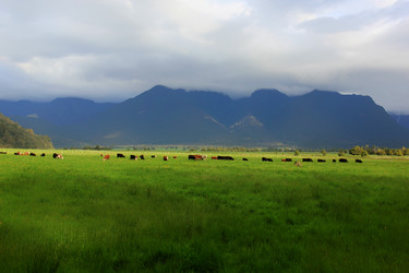 Similar image 21489864