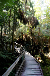 Similar image 21489865