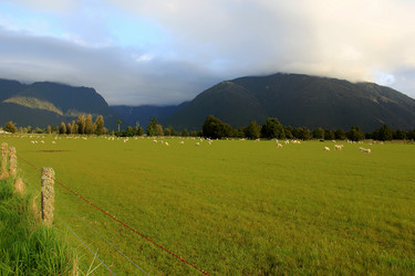 Similar image 21489866