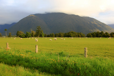 Similar image 21489870